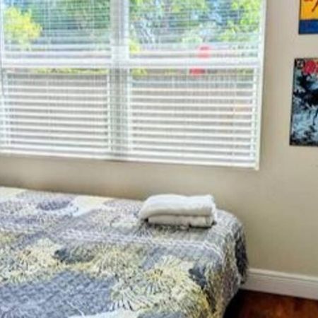 Spacious House With Big Backyard In N. Hyde Park / Close To Downtown Tampa Exteriör bild